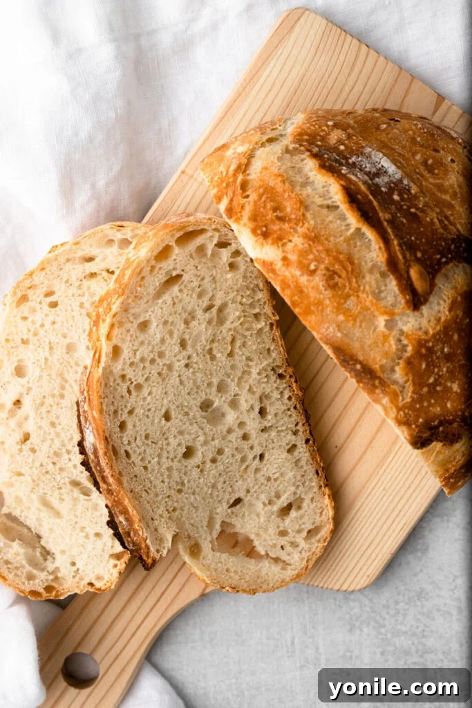 Effortless Artisan Loaf 7 No knead artisan bread sliced open, showing its airy, fluffy interior.
