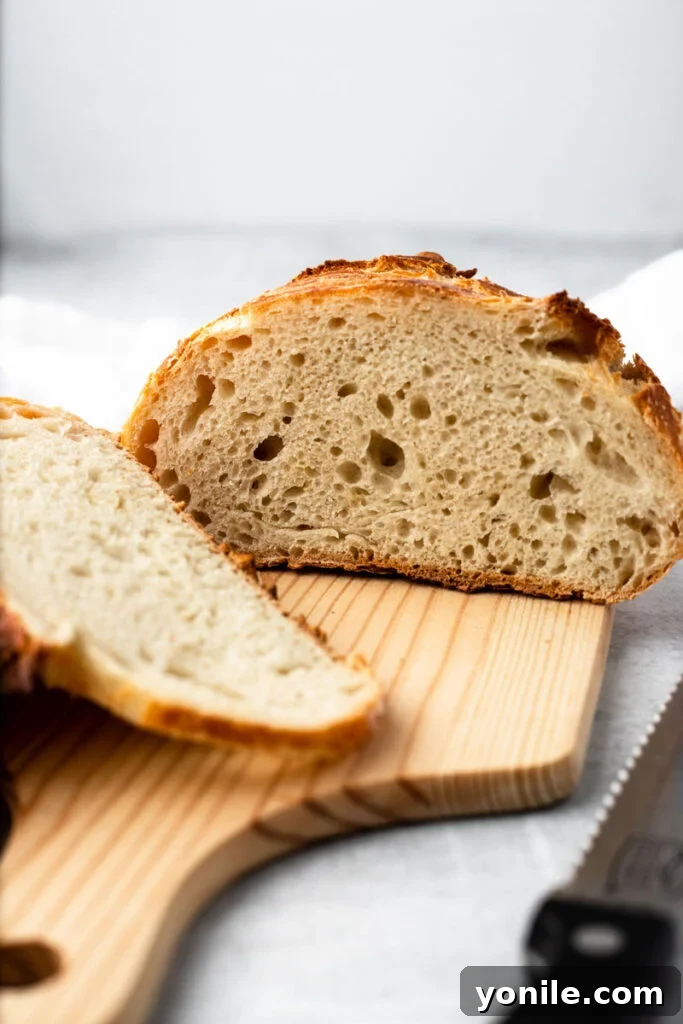 Effortless Artisan Loaf 8 The inside of freshly baked no-knead artisan bread, beautifully sliced to show its open, airy crumb.