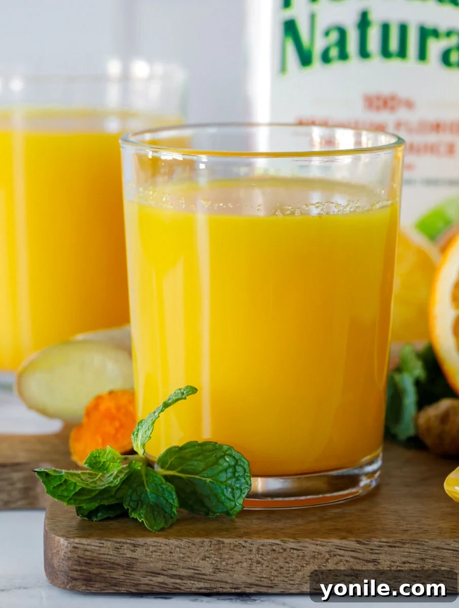 Citrus Immune Shield 6 A vibrant close-up of a glass of the prepared Orange-Ade Immune Booster Drink, showing its rich golden color and smooth texture, ready to be enjoyed.