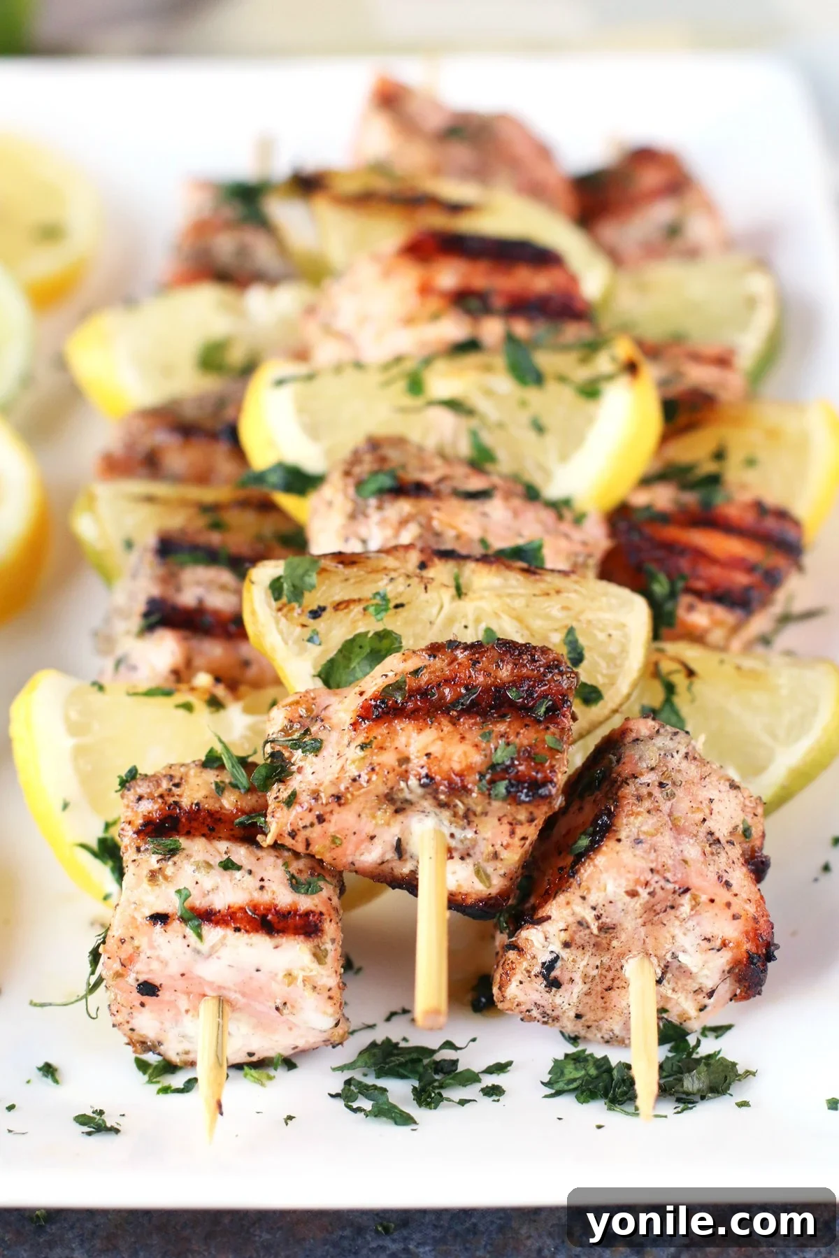 Platter of perfectly grilled salmon and citrus skewers garnished with fresh parsley