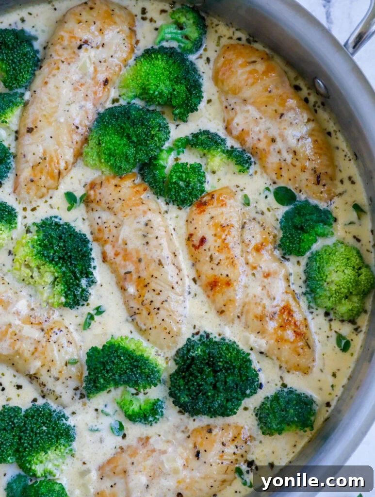 Overhead shot of creamy chicken and broccoli in a pan, ready to serve.