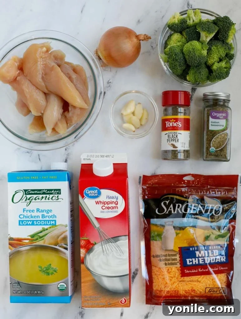 Top down shot of ingredients for creamy broccoli chicken, including chicken, broccoli, cheese, and spices.