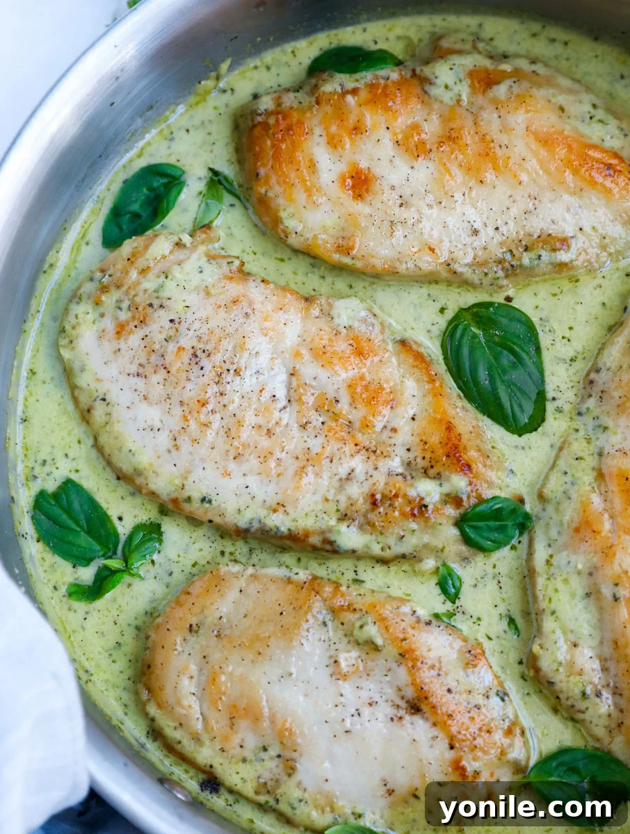 Dreamy Creamy Pesto Chicken 2 Top down view of creamy pesto chicken in a pan, garnished with fresh basil.