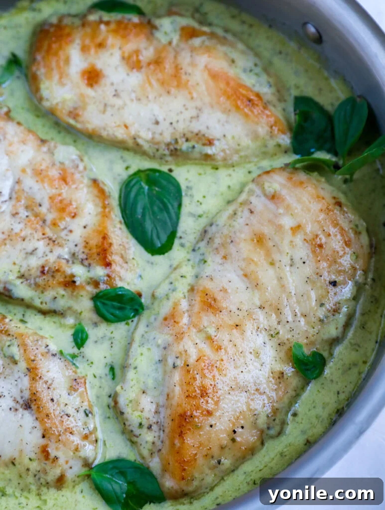 Dreamy Creamy Pesto Chicken 11 Overhead view of creamy pesto chicken freshly prepared in a skillet, ready to serve.