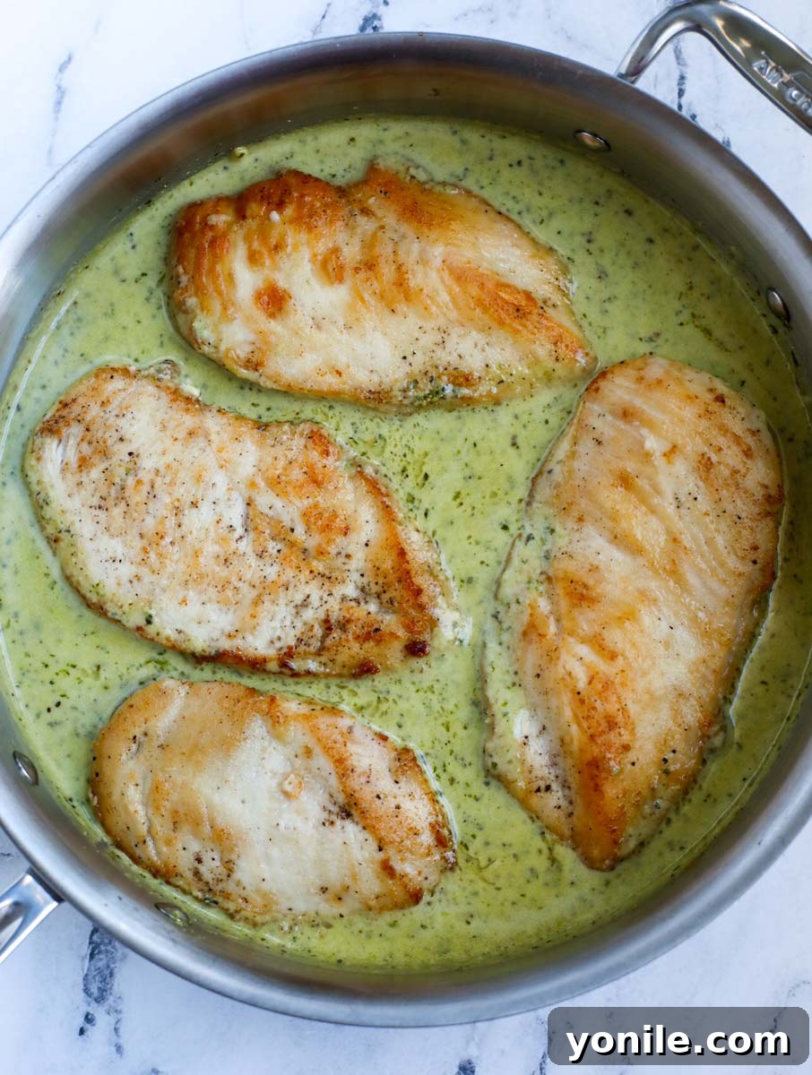 Dreamy Creamy Pesto Chicken 9 Chicken returned to the pan, coated in rich pesto sauce.