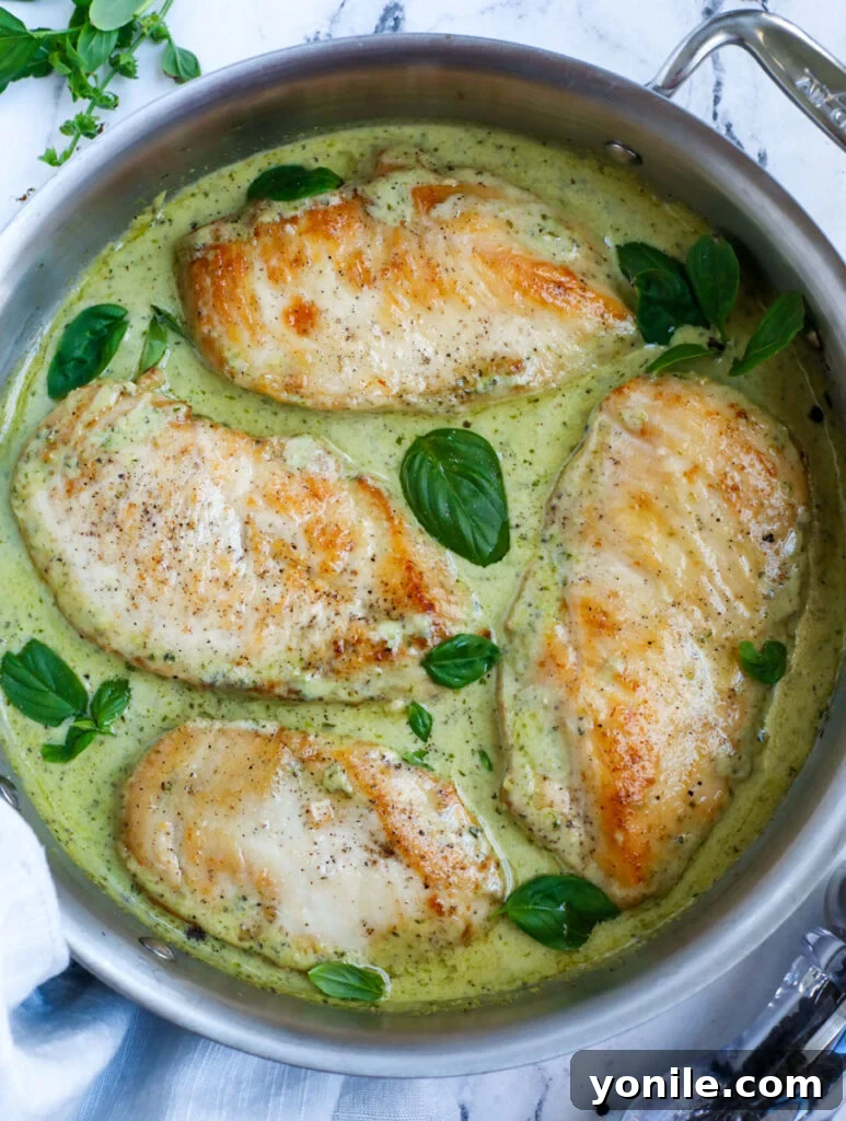 Dreamy Creamy Pesto Chicken 10 Top down view of the finished creamy pesto chicken, garnished and ready to serve.