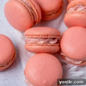 Blushing Strawberry Macarons 8 Close up of French macarons with strawberry cream filling.