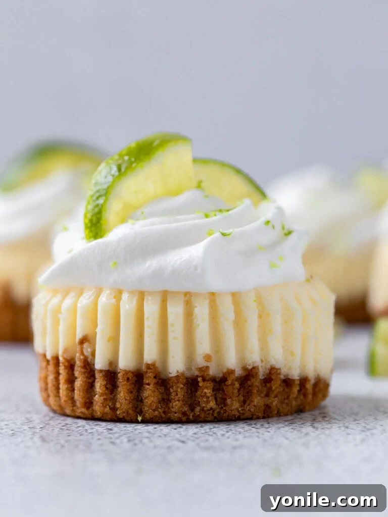 close up shot of mini key lime cupcake with whipped cream and lemon slices on top