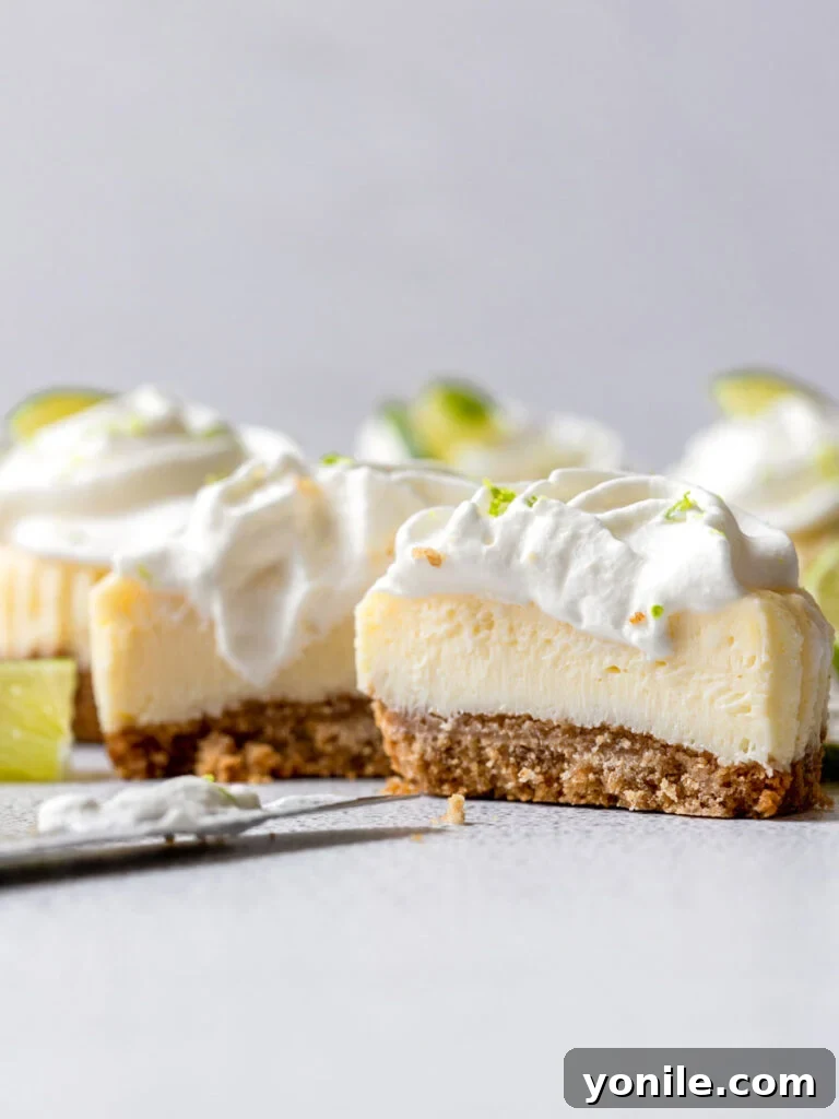 mini keylime cheesecake topped with whipped cream and lime slices and sliced in the middle showing the center