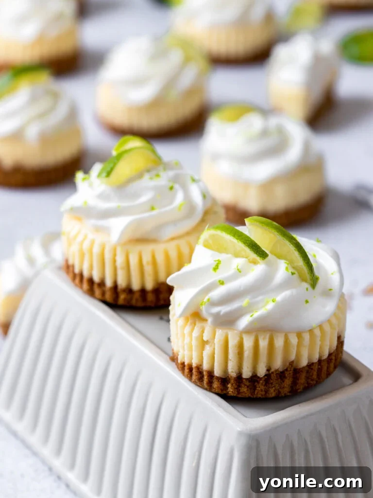 mini keylime cheesecake topped with whipped cream and lime slices