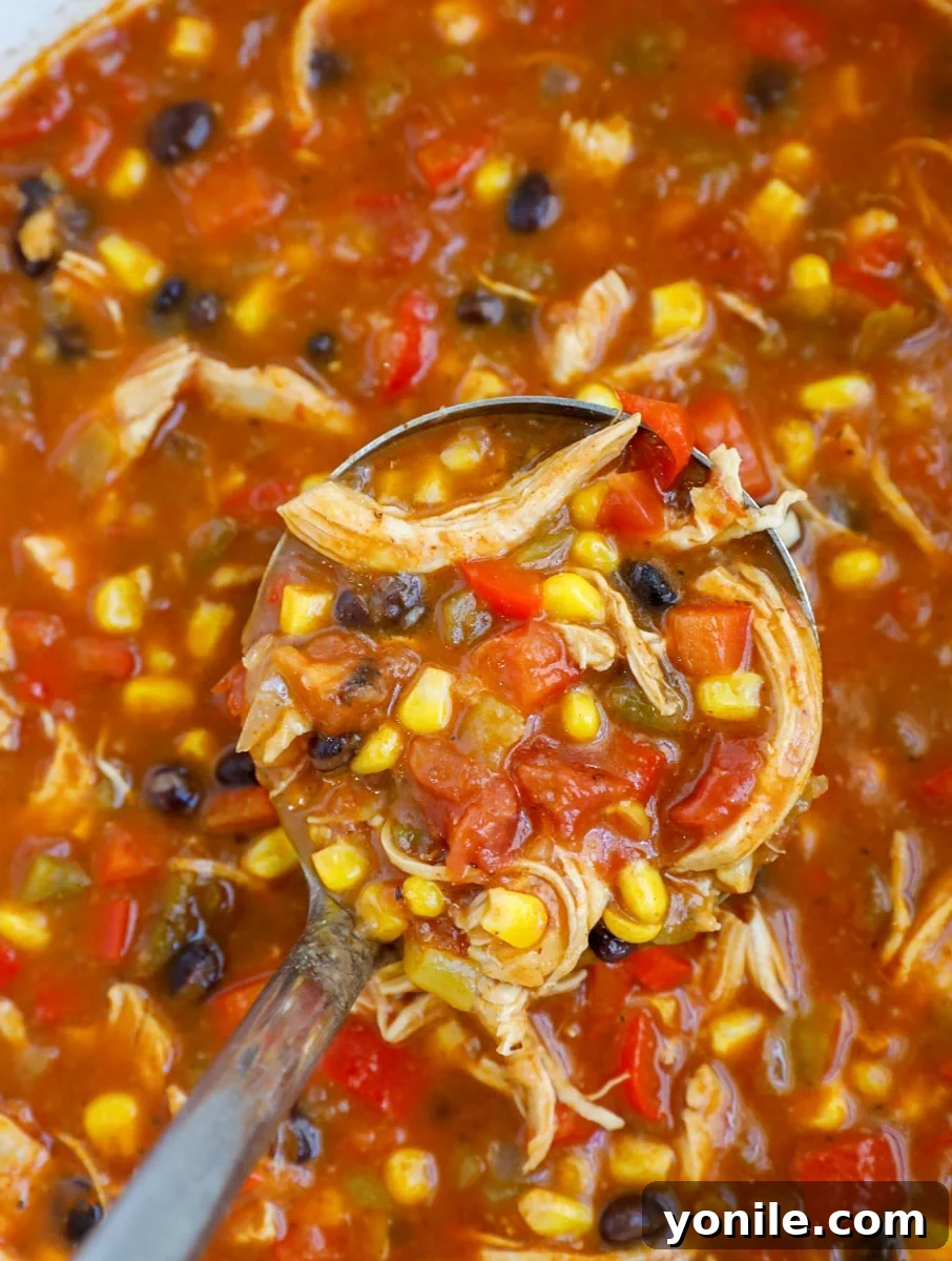 A ladle scooping out creamy chicken enchilada soup from a rustic bowl, showcasing its rich texture.