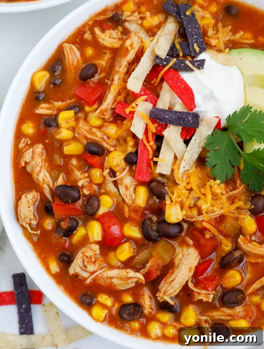 Close up of a bowl of creamy chicken enchilada soup, richly garnished and ready to eat.