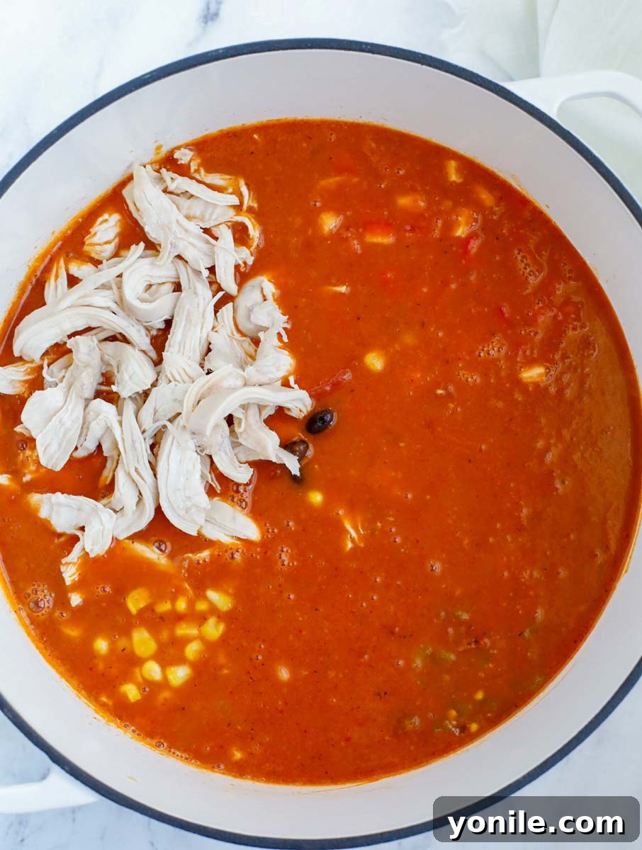Close-up of shredded chicken, black beans, corn, and green chilies being added to a simmering pot of enchilada soup base.