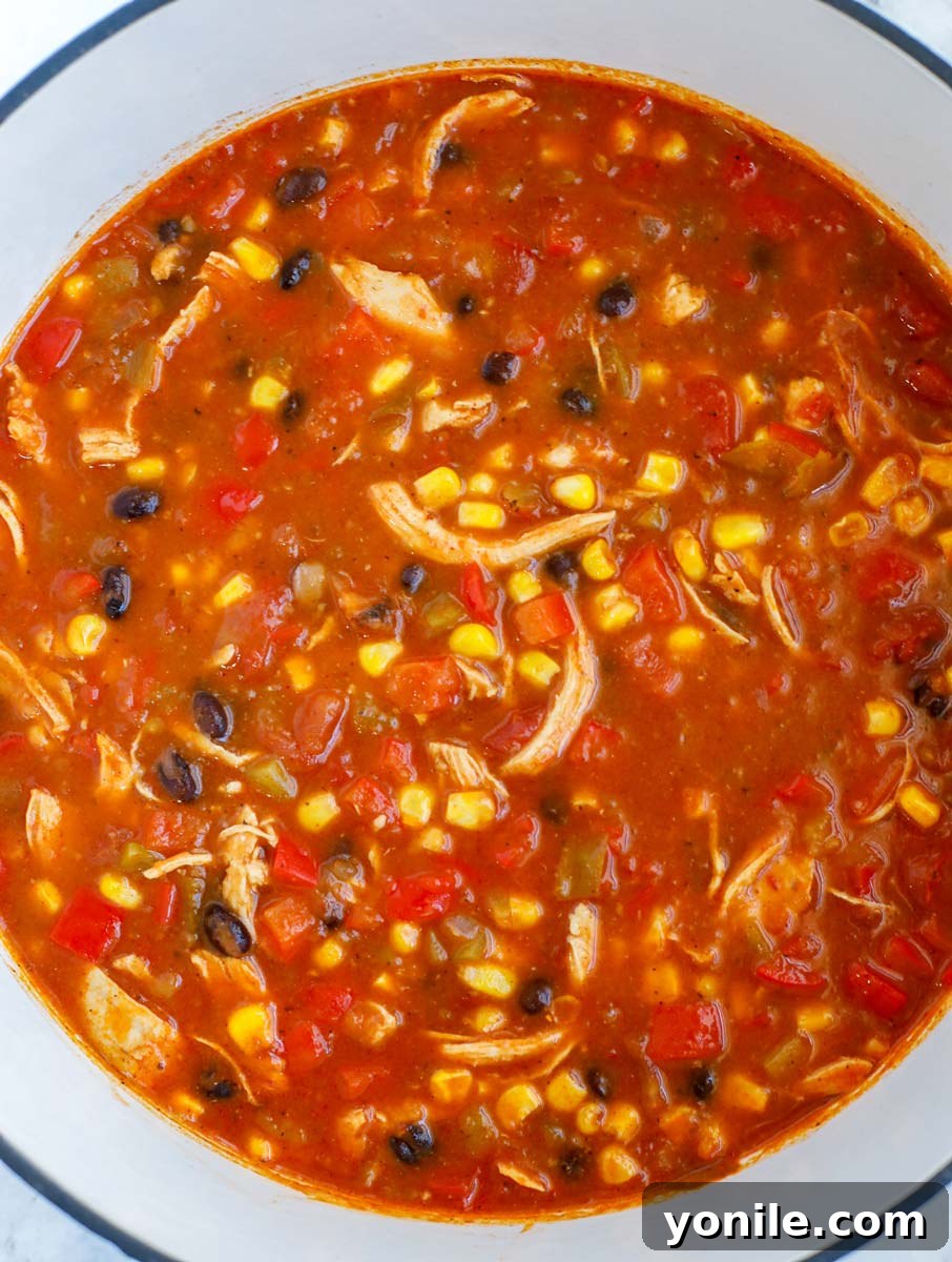 A pot of richly colored, completed chicken enchilada soup, steaming gently and ready to be served.