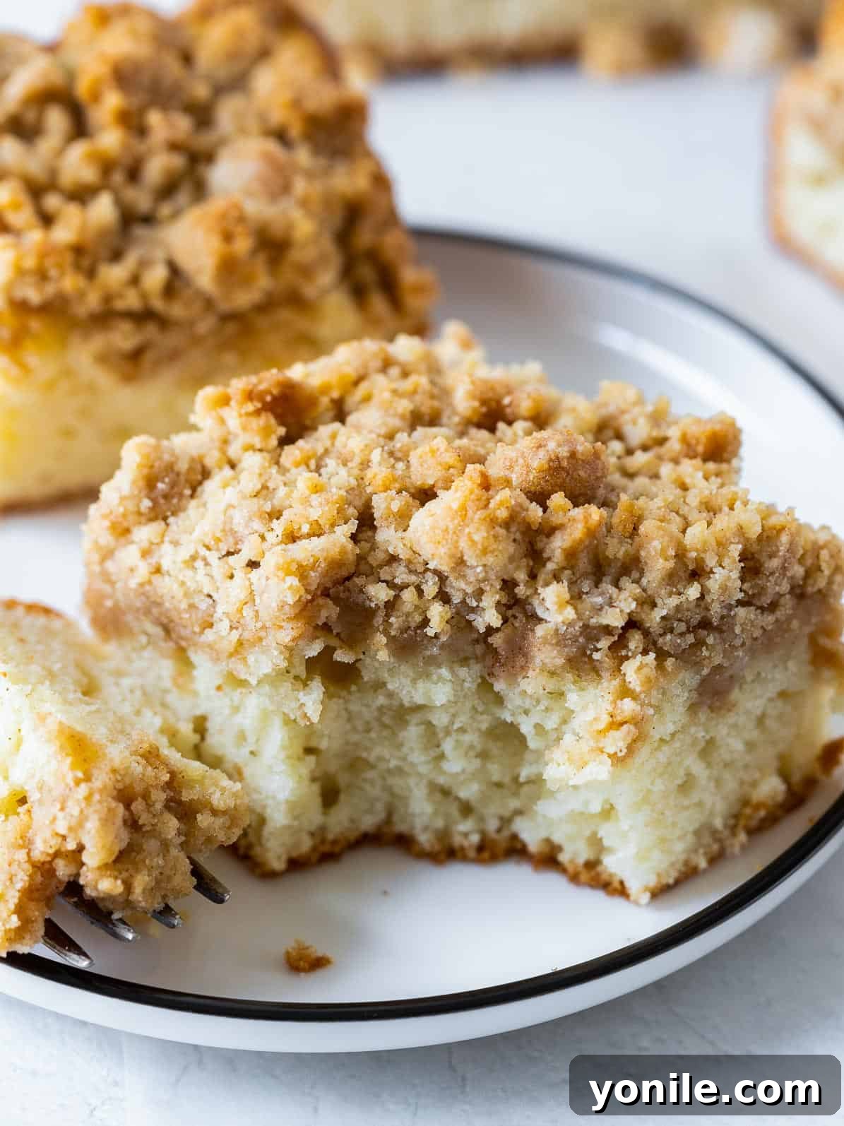 A delectable slice of Cinnamon Apple Crumb Cake on a plate, revealing its moist interior and crumbly topping.