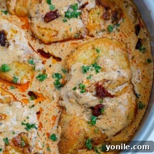 Close up of a chicken breast in cajun sauce.