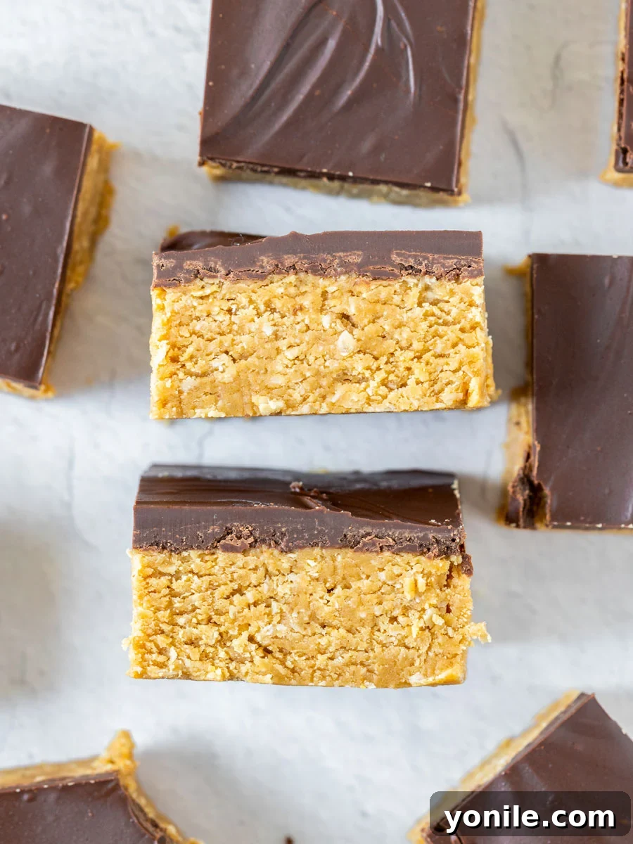 Decadent Chocolate Peanut Butter Oat Bars 2 Delicious and easy no-bake chocolate peanut butter oatmeal bars arranged beautifully.
