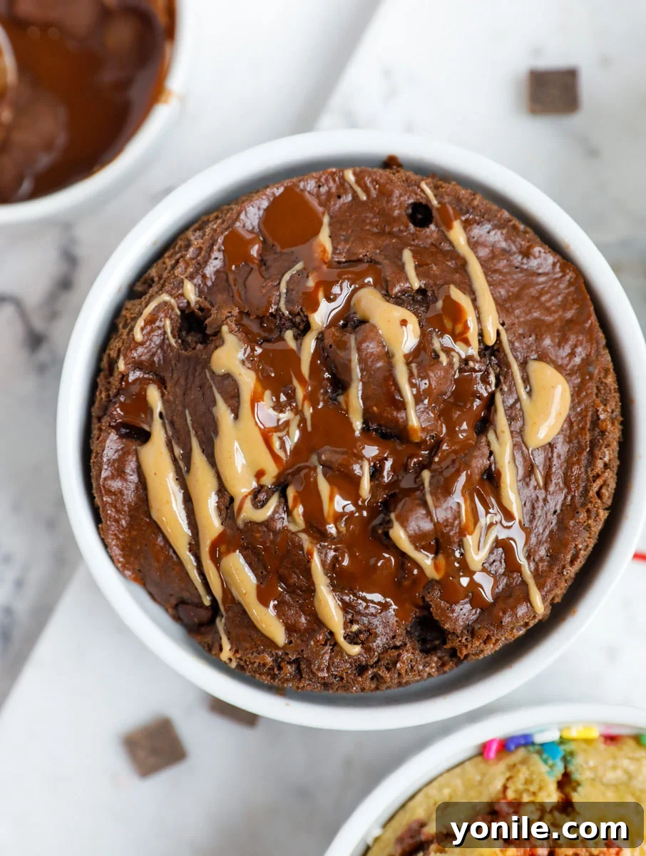 3 Irresistible Baked Oats Recipes 8 A close-up of baked chocolate peanut butter oatmeal nestled in a ramekin, artfully drizzled with a rich topping.