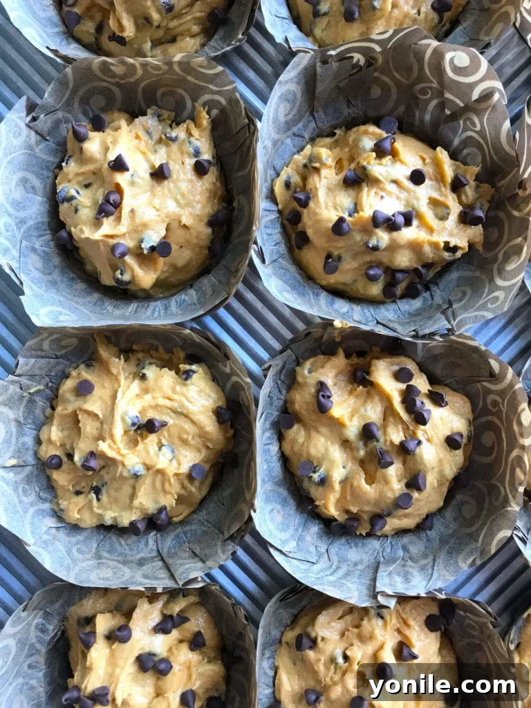 Raw chocolate chip pumpkin muffin batter scooped into a muffin tin with paper liners, topped with extra chocolate chips.