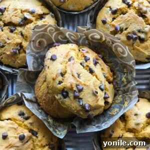 Chocolate Chip Pumpkin Muffins are the perfect breakfast treat