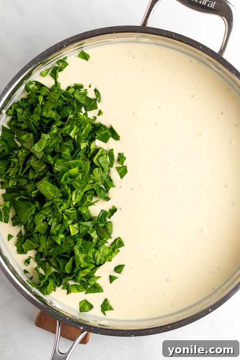 Velvety Spinach Macaroni and Cheese 5 Fresh vibrant green spinach leaves wilting into the creamy cheese sauce in a large skillet, adding color and nutrients.