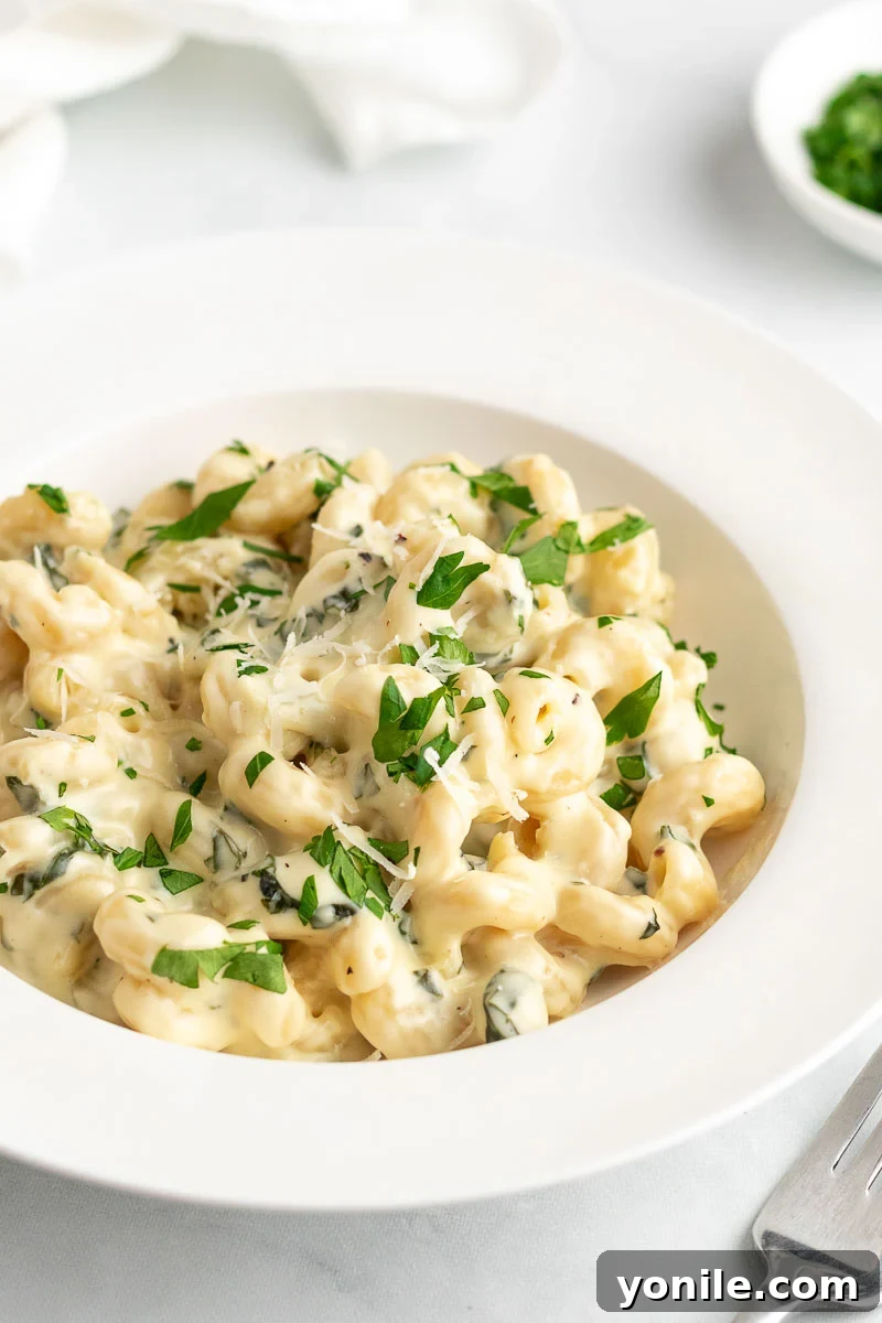 Velvety Spinach Macaroni and Cheese 9 Creamy spinach mac and cheese served on a white plate, beautifully garnished with fresh parsley and extra grated cheese.