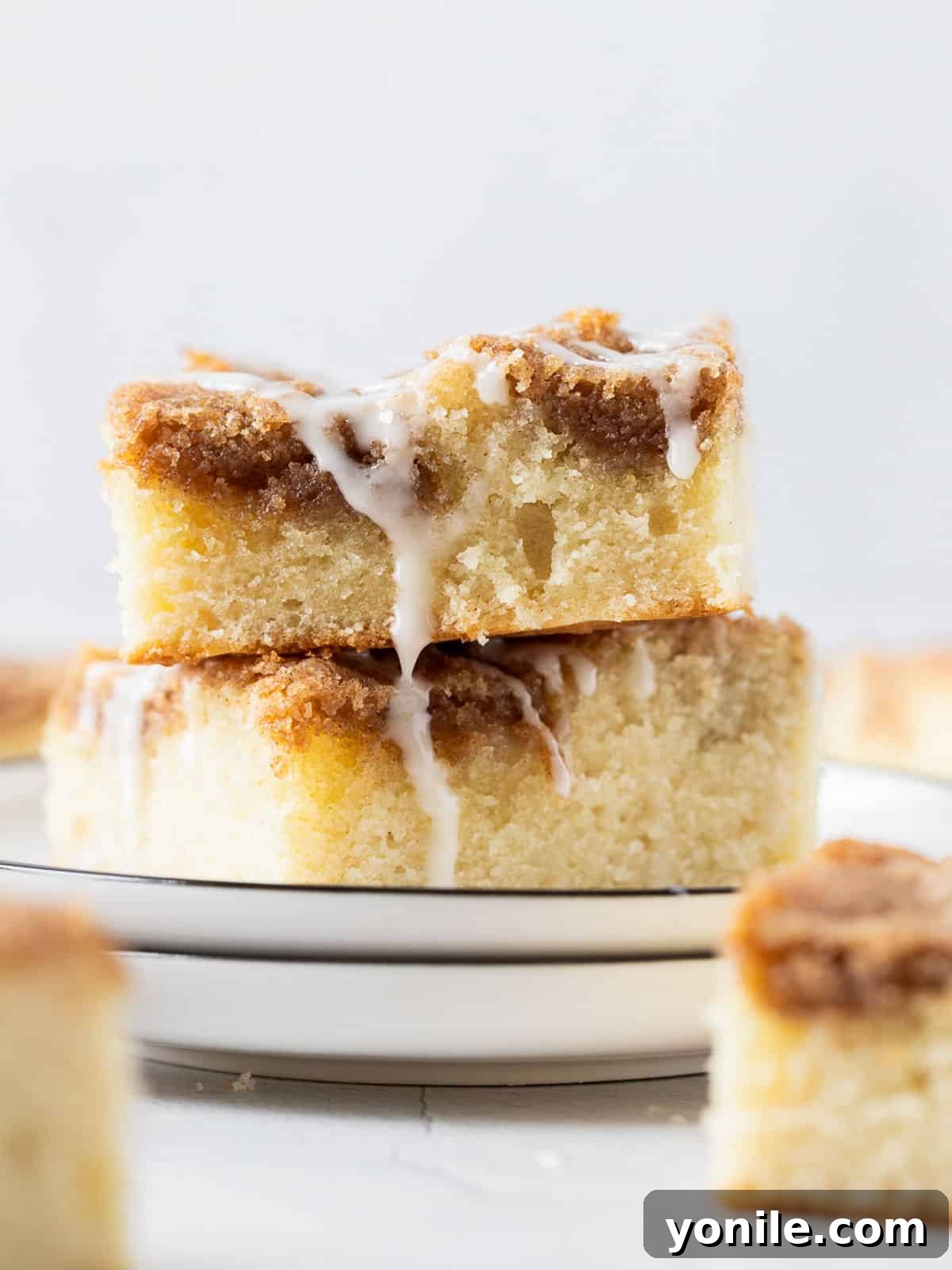Two pieces of incredibly moist Cinnamon Streusel Coffee Cake stacked on a white plate, showcasing the rich streusel topping and tender crumb.