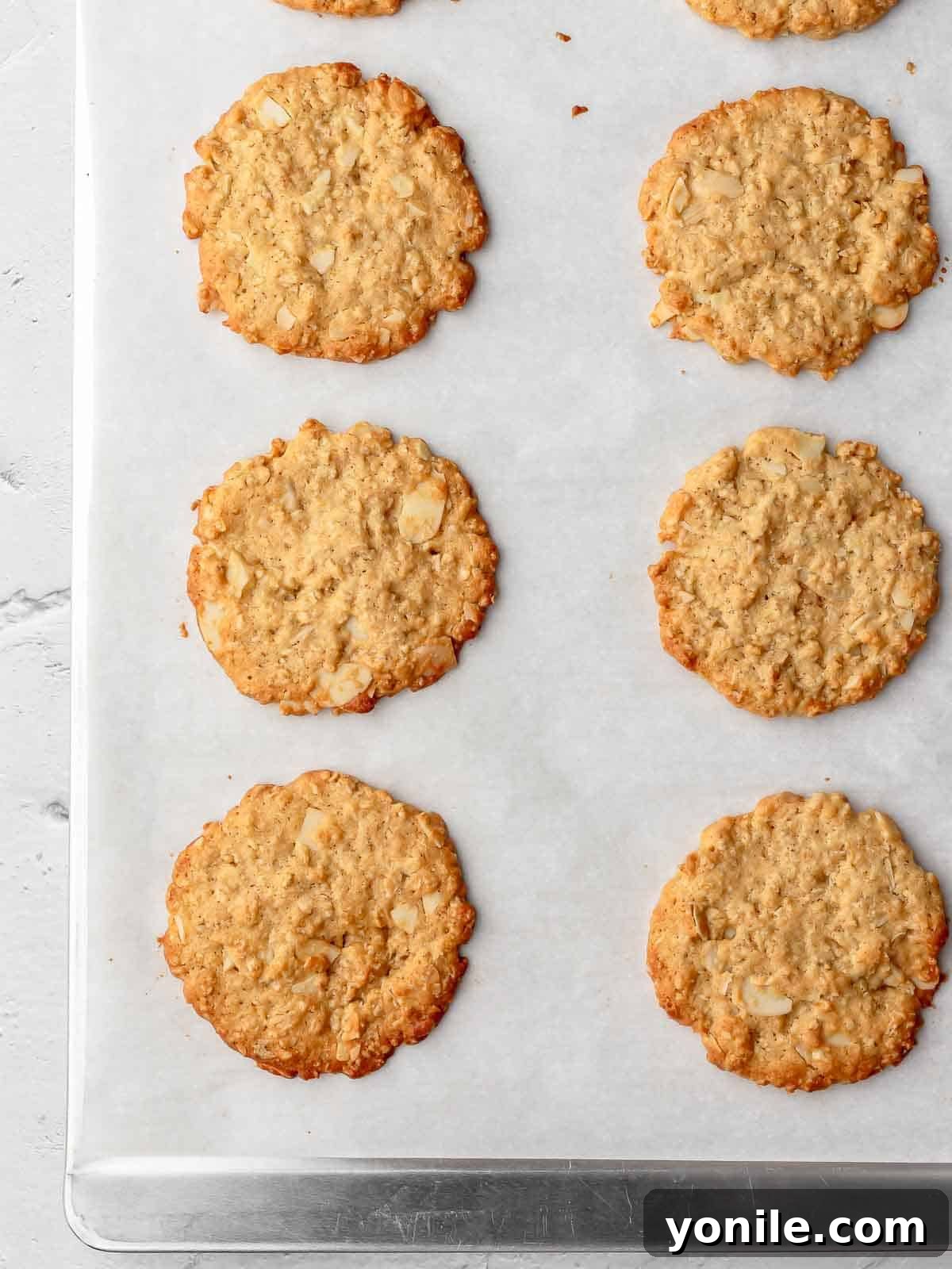 Freshly baked crispy almond oatmeal cookies on a baking sheet, golden and perfectly spread.