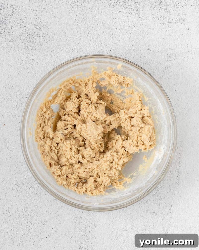 No-Bake Eggless Cookie Dough 5 edible cookie dough mixed in a bowl