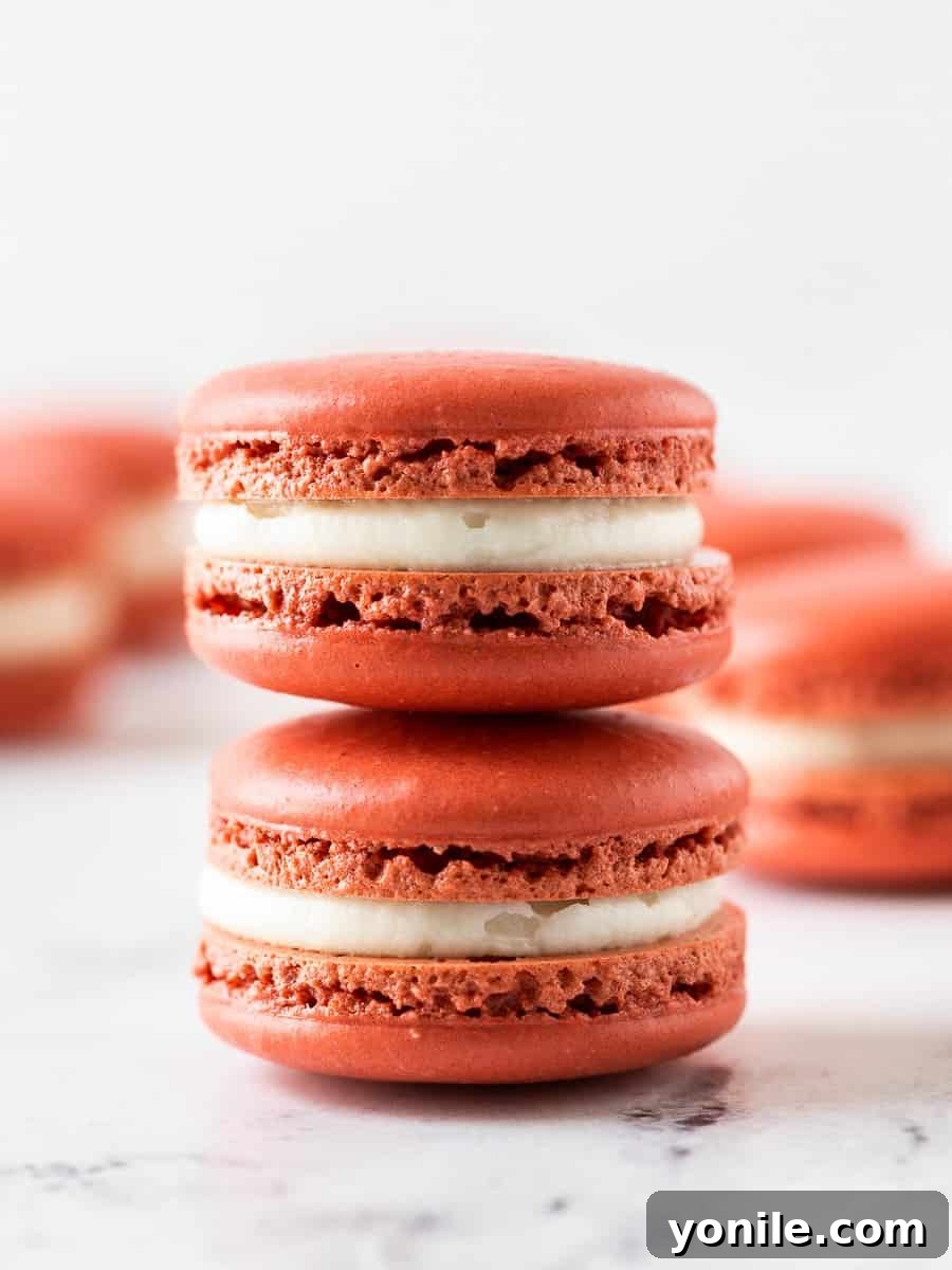 Two pieces of vibrant red velvet macarons, perfectly stacked, showcasing their signature 'feet' and rich cream cheese filling.