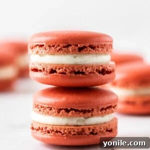 two pieces of red velvet macaron stacked on top of each other