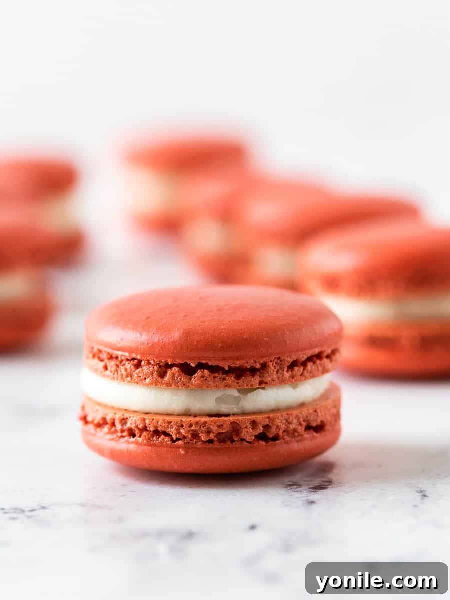 A close-up shot of a single, perfectly assembled red velvet macaron, showcasing its delicate red shell, pronounced 'feet,' and creamy white filling.