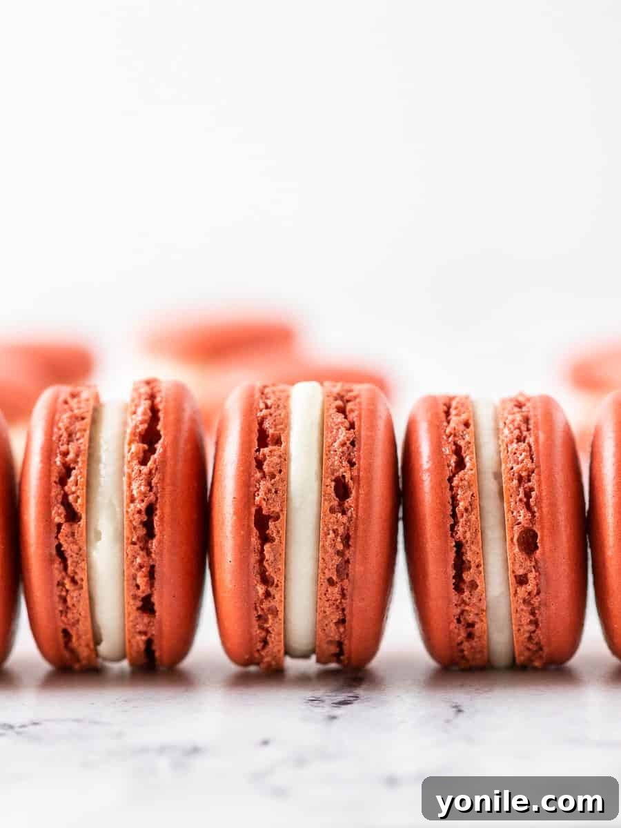 A trio of delicious French Red Velvet Macarons, perfectly arranged, highlighting their texture and appealing color.