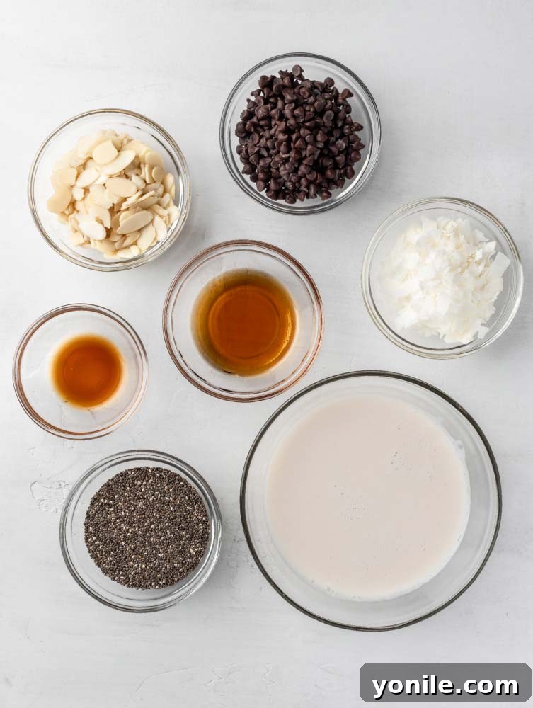 top down shot of the chia pudding ingredients