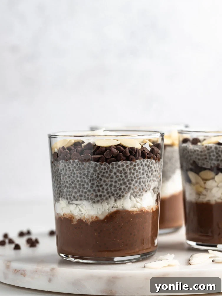 front view shot of the chia pudding showing the stacked ingredients