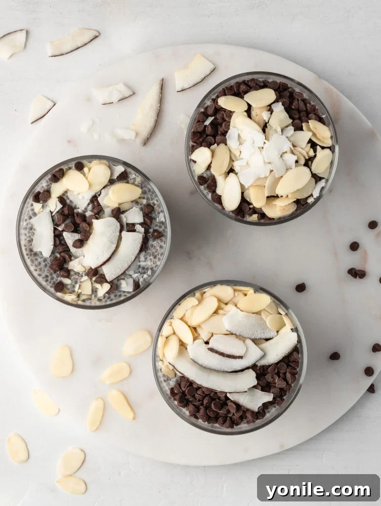 top down view shot of almond chia pudding in 3 cups