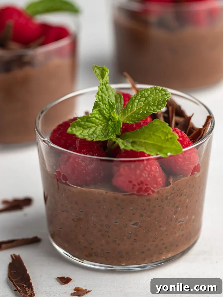 Velvet Chocolate Chia Morning 2 Close up shot of creamy chocolate chia pudding, topped with fresh berries and mint leaves.