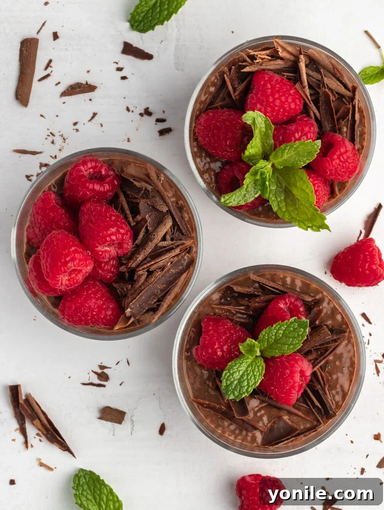 Velvet Chocolate Chia Morning 5 Top down shot of three cups of chocolate chia pudding, topped with berries and chocolate shavings.