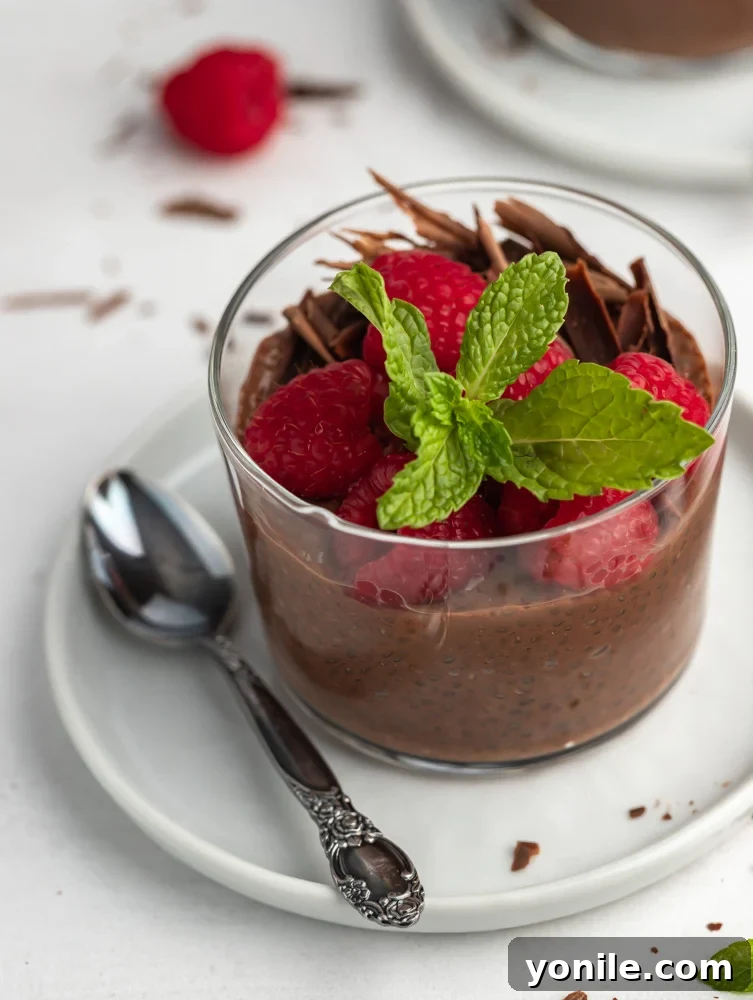 Velvet Chocolate Chia Morning 6 Chocolate chia pudding cups arranged on a plate with a spoon next to it, ready to be eaten.