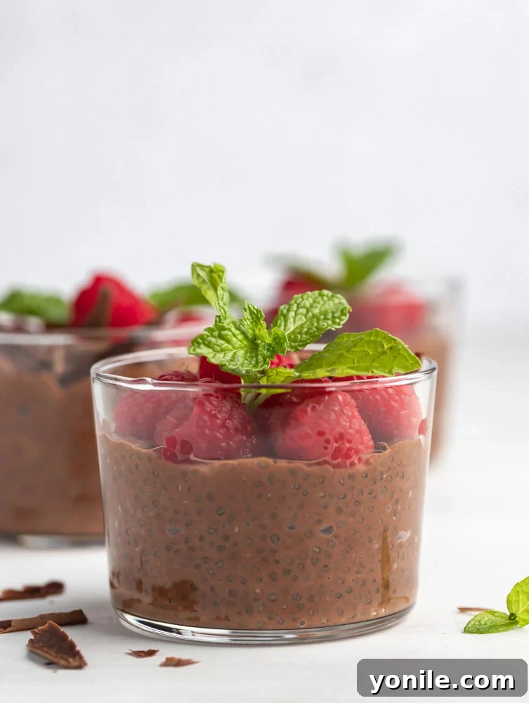 Velvet Chocolate Chia Morning 7 Side close up shot of a cup of chocolate chia pudding, showing its creamy texture and layers.