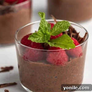 Velvet Chocolate Chia Morning 8 Close up shot of creamy chocolate chia pudding, topped with fresh berries and mint leaves.