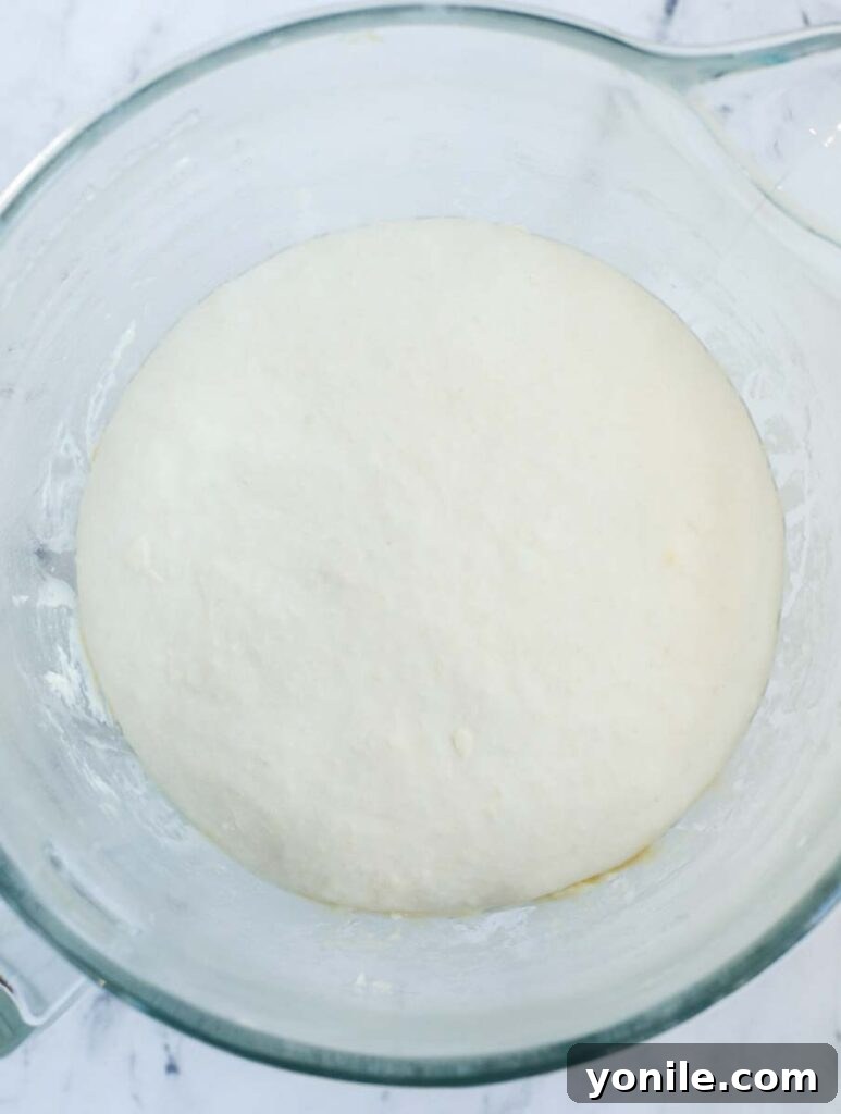 Dough rising in a bowl.