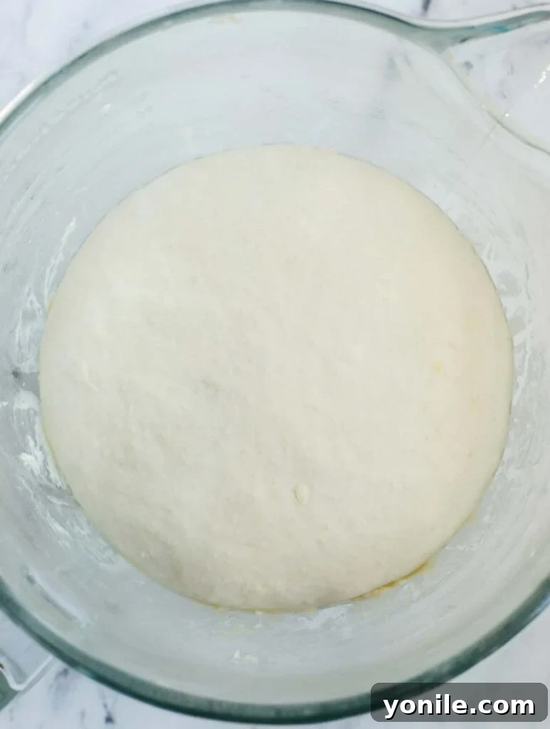 Aromatic Zaatar Flatbread 6 Top down shot of the dough in a bowl after its initial rise