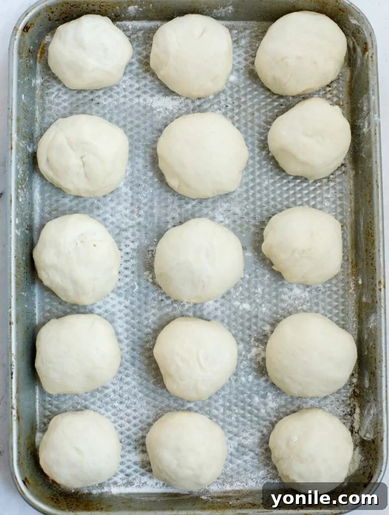 Aromatic Zaatar Flatbread 8 Dough balls neatly arranged on a sheet pan for their final rise
