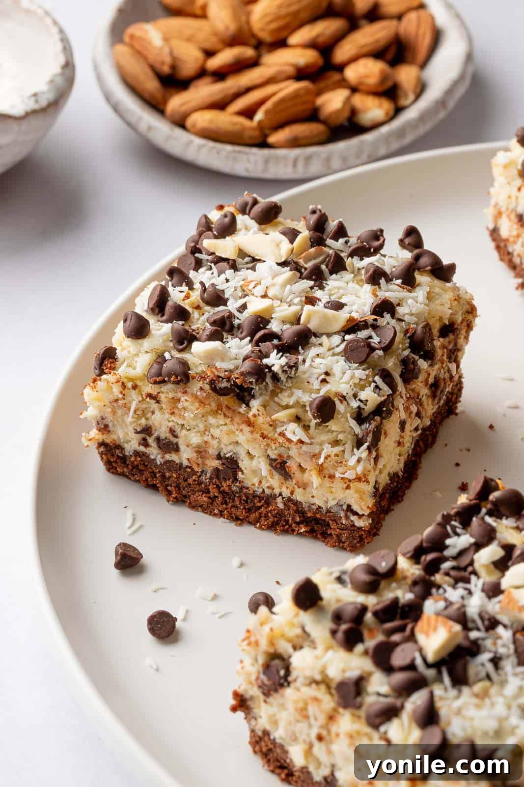 A delectable shot of Almond Joy cheesecake bars, showcasing their creamy texture, chocolate chips, and coconut flakes from the side.
