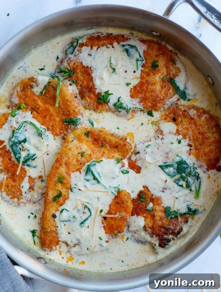 Overhead view of creamy parmesan chicken breasts inside of a pan, garnished with fresh parsley.