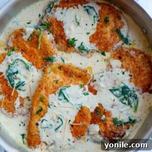 Overhead view of creamy parmesan chicken breasts inside of a pan.