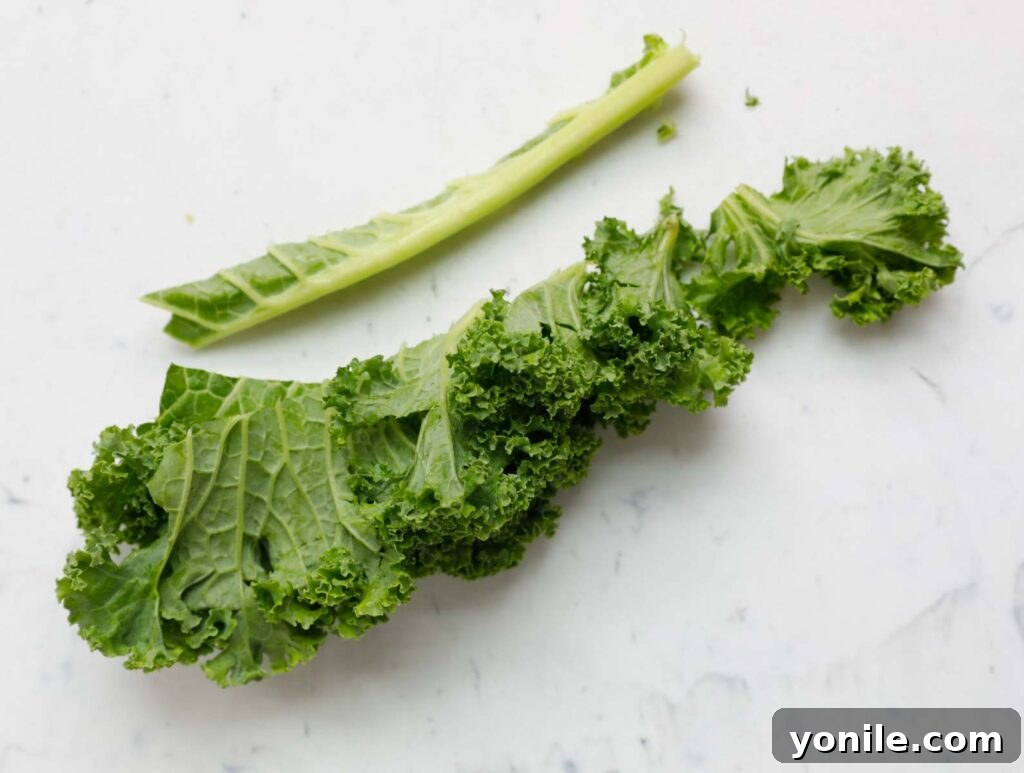 Golden Air Fryer Kale Crisps 4 Hands carefully removing the tough central stem from a fresh kale leaf, preparing it for chip making.