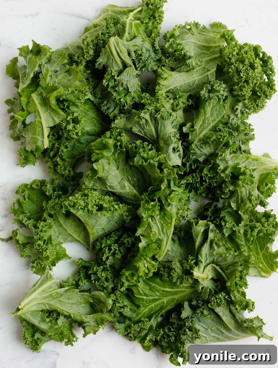 Golden Air Fryer Kale Crisps 5 Fresh kale leaves, perfectly torn into smaller, uniform pieces after being stemmed, ready for seasoning.