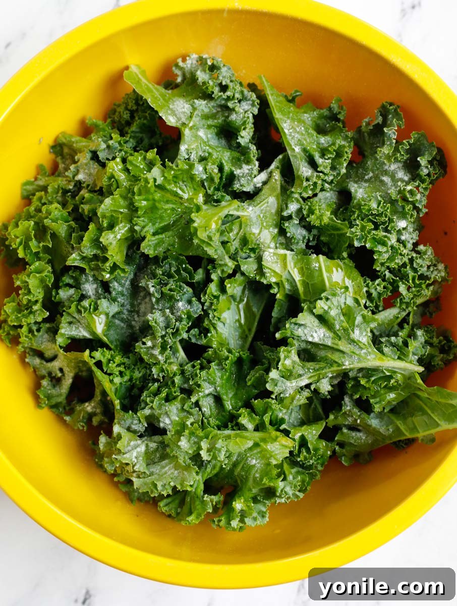 Golden Air Fryer Kale Crisps 6 Torn kale leaves in a large mixing bowl, gleaming slightly with olive oil and seasoning, awaiting air frying.